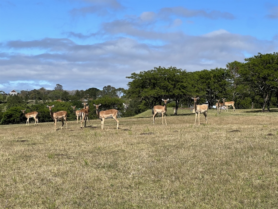 Commercial Property for Sale in East London Rural Eastern Cape